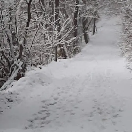 Zum Kuehlen Grund Διαμέρισμα