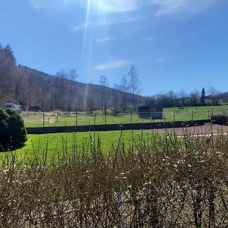 Zum Kuehlen Grund Lejlighed *