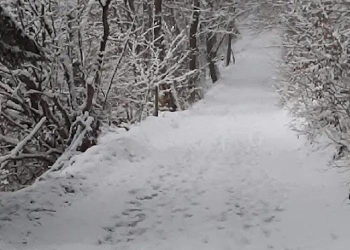 Zum Kuehlen Grund Appartement