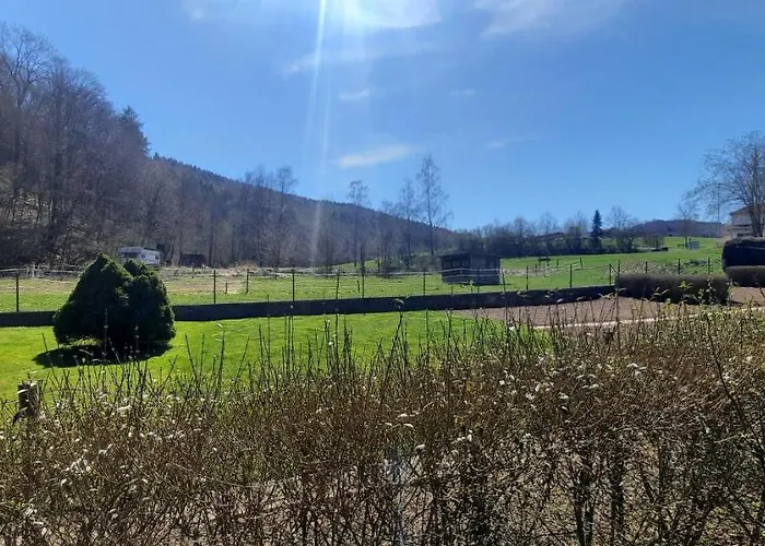 Zum Kuehlen Grund Appartement *