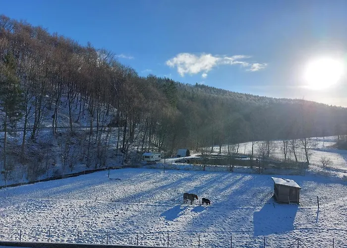 Zum Kuehlen Grund Appartement *